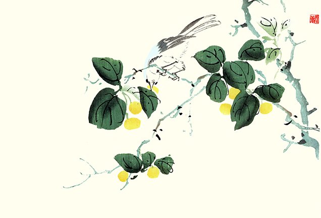 photo26.jpg