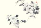 photo3_small.jpg