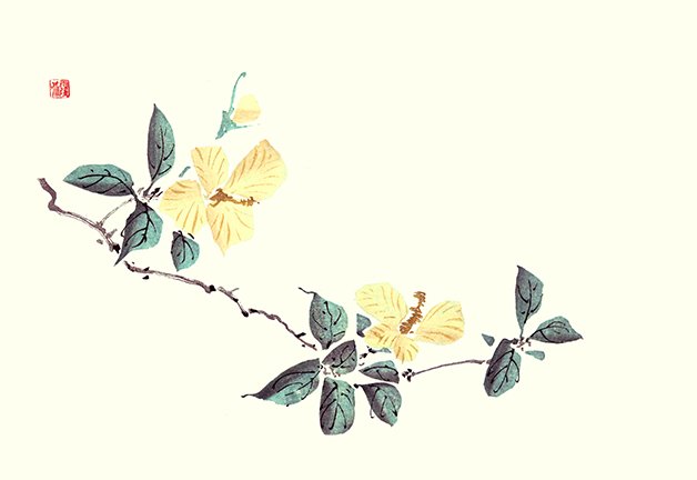photo9.jpg