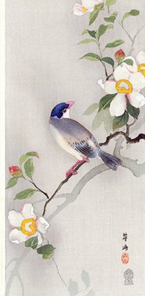 photo.jpg