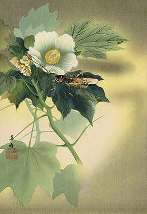 photo12.jpg