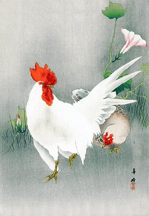 photo.jpg