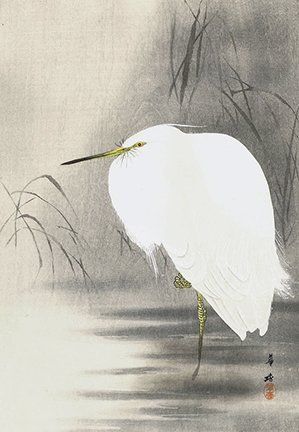 photo7.jpg