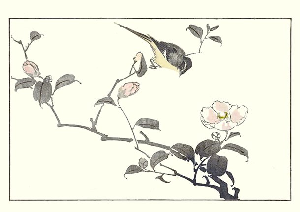 photo21.jpg