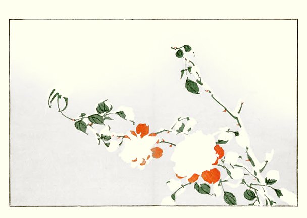 photo22.jpg