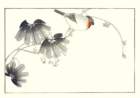 photo7_small.jpg