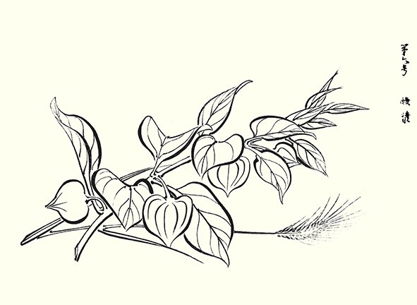 photo13.jpg
