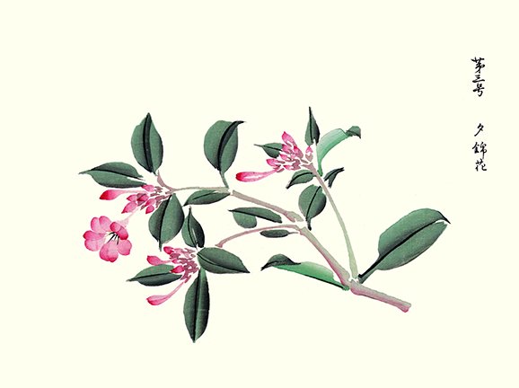 photo22.jpg