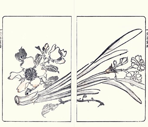 photo22.jpg