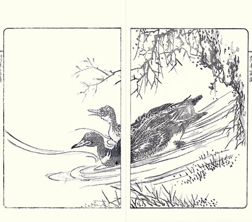 photo28.jpg