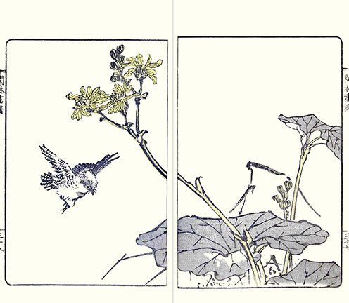 photo33.jpg