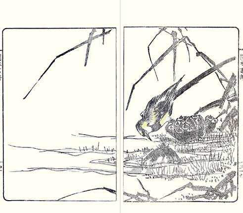 photo34.jpg