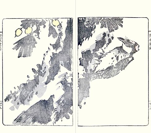 photo37.jpg