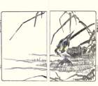 photo14_small.jpg