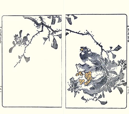 photo5.jpg