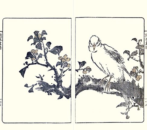 photo8.jpg