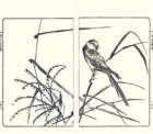 photo9_small.jpg