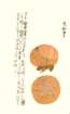 photo10_small.jpg