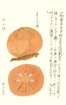 photo11_small.jpg