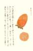photo12_small.jpg