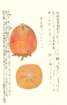 photo13_small.jpg