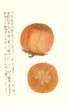 photo20_small.jpg