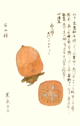 photo21.jpg