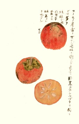 photo4.jpg