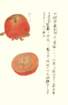 photo7_small.jpg