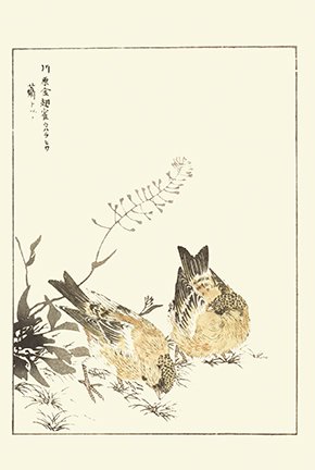 photo16.jpg