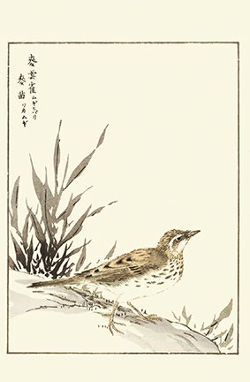 photo20.jpg