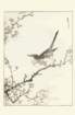 photo23_small.jpg