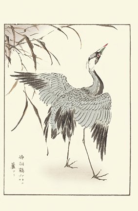 photo41.jpg