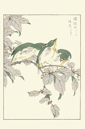 photo50.jpg