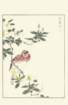 photo76_small.jpg