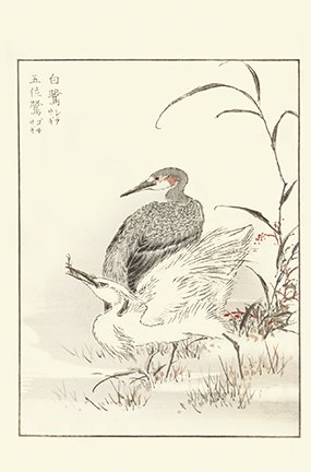 photo86.jpg