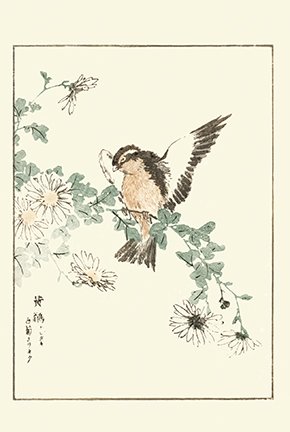 photo9.jpg