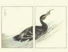 photo97_small.jpg