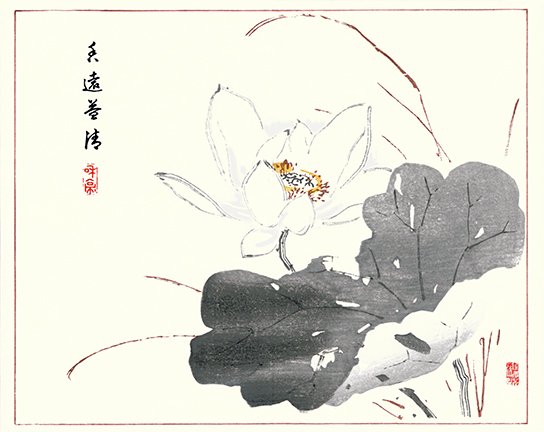 photo18.jpg