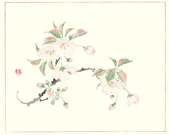 photo29.jpg