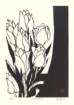 photo15_small.jpg