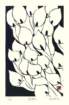 photo36_small.jpg