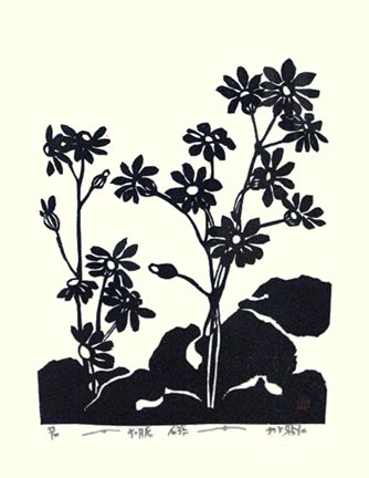 photo37.jpg
