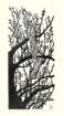 photo38_small.jpg