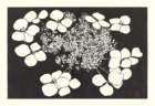 photo2_small.jpg