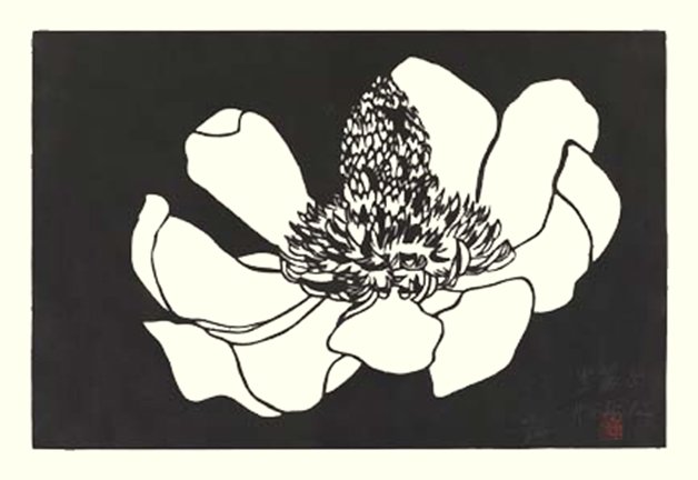 photo4.jpg