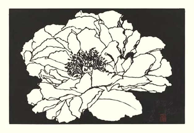 photo6.jpg