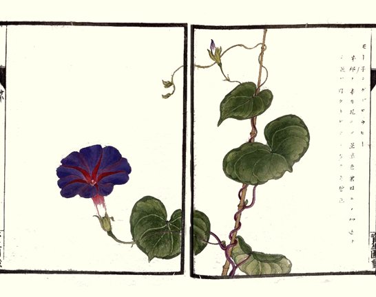 photo19.jpg