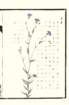 photo5_small.jpg