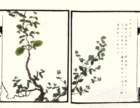 photo9_small.jpg